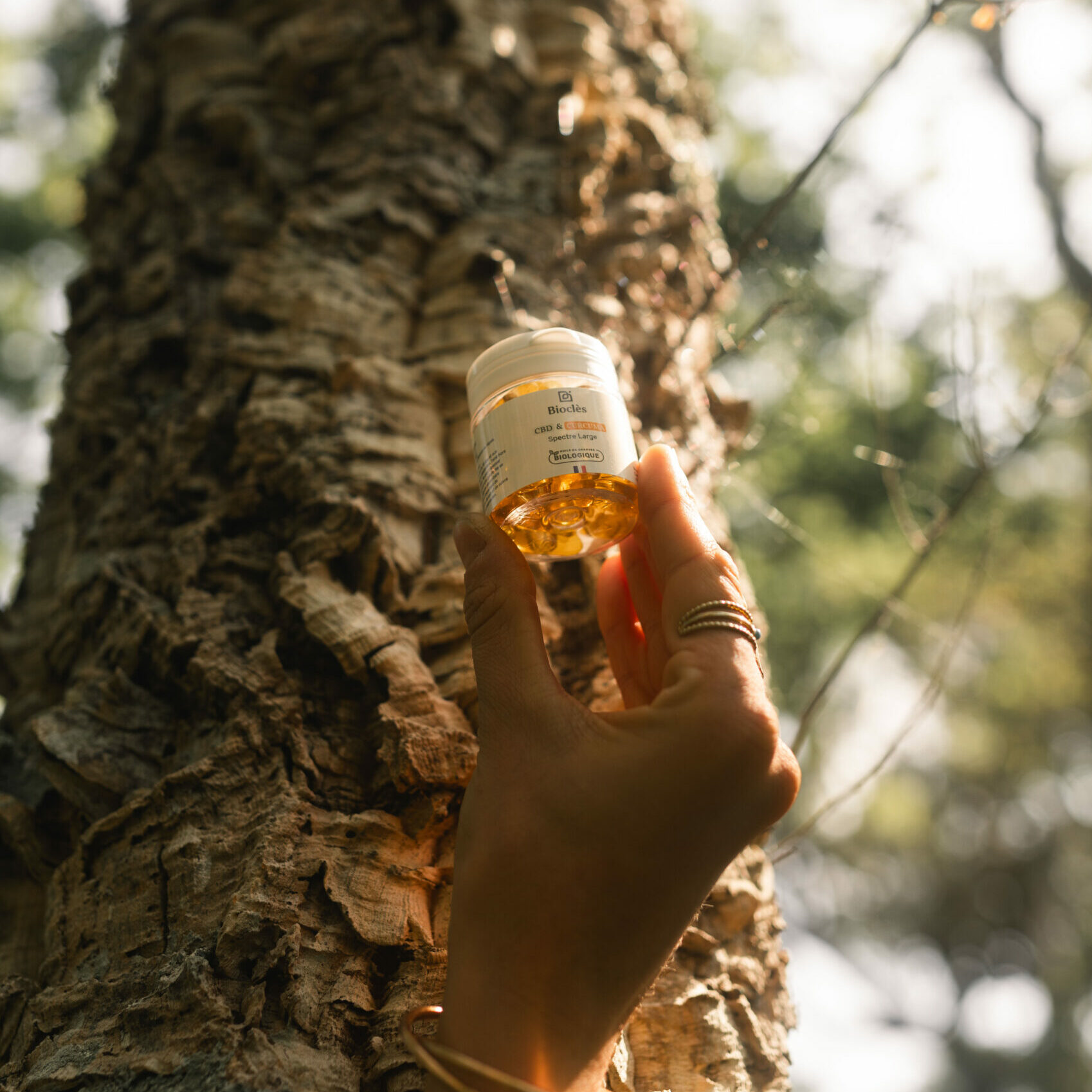 Gélules CBD & Curcuma – Image 2