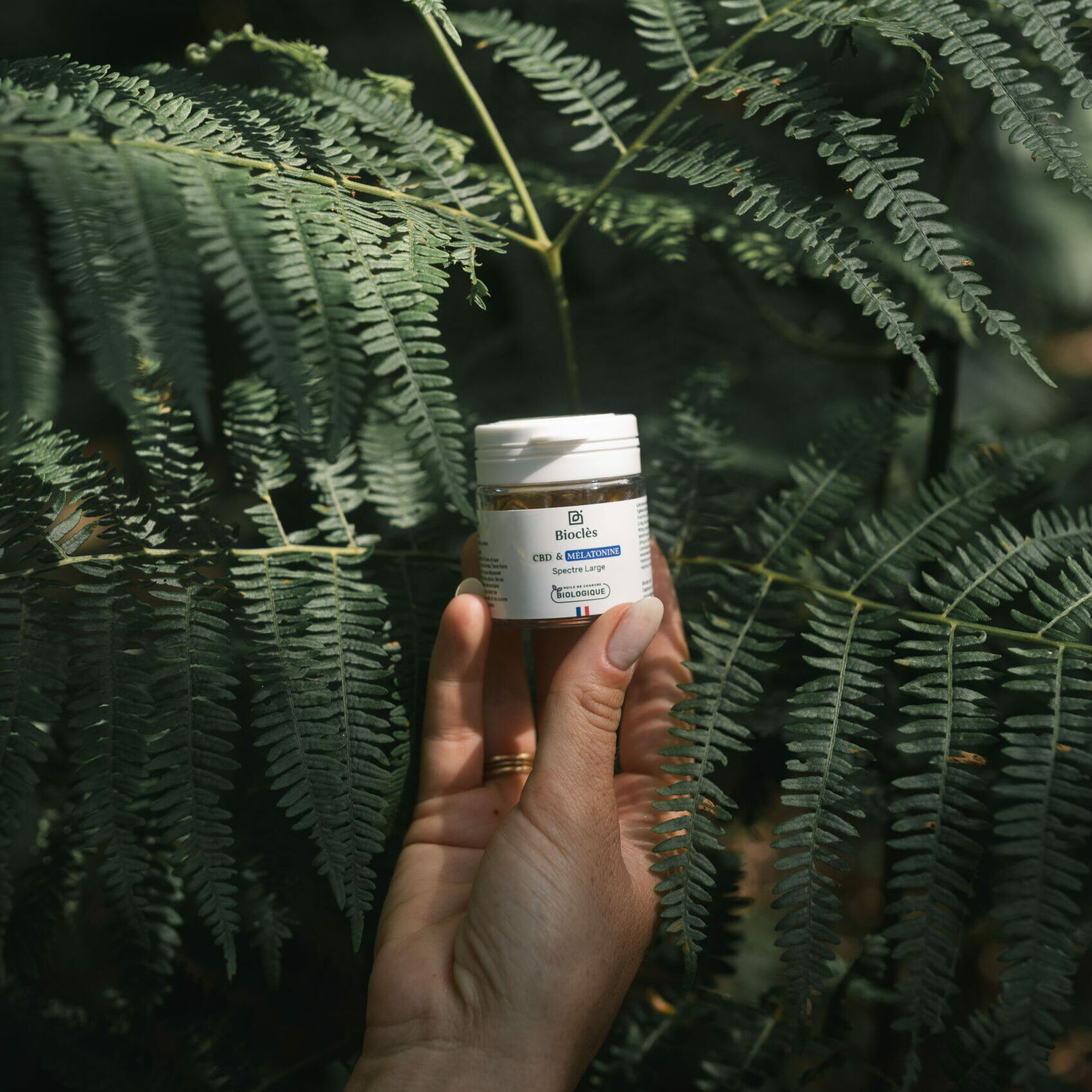 Gélules CBD & Mélatonine – Image 2